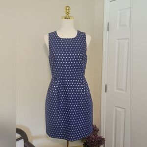 NWT J Crew Blue Silver Polka Dot Shift Dress Size 6 Pockets Perfect Summer Dress